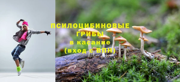сатива Армянск