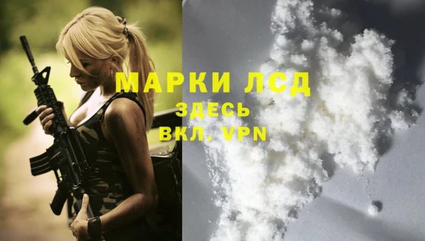 сатива Армянск